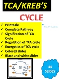 TCA/KREB'S CYCLE