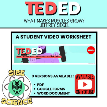 Preview of TED-Ed Worksheet, Anatomy, Biology, Health, What Makes Muscles Grow Video?