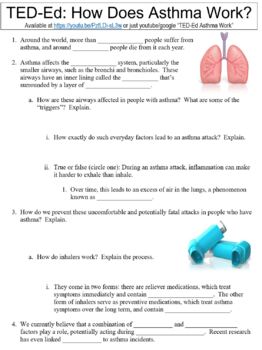 Preview of TED-Ed worksheet: How Does Asthma Work?