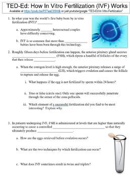 Preview of TED-Ed worksheet: How In Vitro Fertilization (IVF) Works