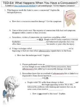 Preview of TED-Ed worksheet: What Happens When You Have a Concussion?