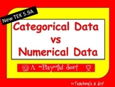 TEK 5.9A Categorical Data vs Numerical Data:  A "Play"ful Sort