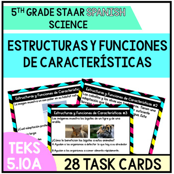 Preview of TEKS 5.10A Estructuras y Funciones de Caractersticas Adaptaciones - Task Cards
