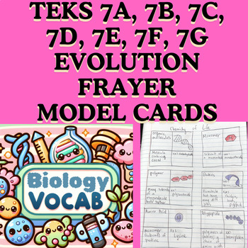 Preview of 40 Terms! TEKS 7A, 7B, 7C, 7D, 7E, 7F, 7G Evolution Vocab Activity Frayer Models