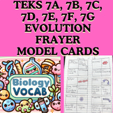 40 Terms! TEKS 7A, 7B, 7C, 7D, 7E, 7F, 7G Evolution Vocab 