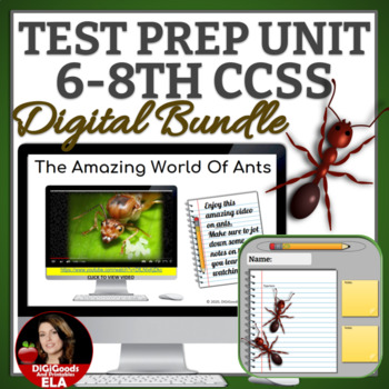 Preview of TEST PREP | RACE Strategy and Writing Prompts Google Classroom