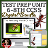 TEST PREP | RACE Strategy and Writing Prompts Google Classroom