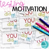 TESTING MOTIVATION: Banners, Posters, Activities, Awards a