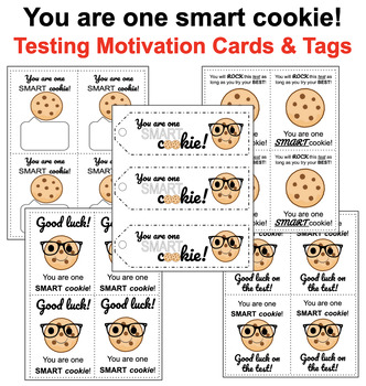 Preview of TESTING TREAT TAGS & MOTIVATION CARDS | You are one smart cookie!