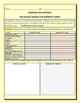 Preview of THANKSGIVING/ SCIENCE ACTIVITY: COMPARE THE CANADA GOOSE & DOMESTIC TURKEY