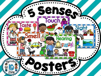 Preview of THE FIVE SENSES- POSTERS- VOCABULARY VISUALS