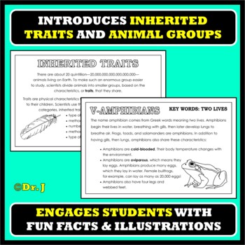 THE ANIMAL KINGDOM: Groups and Inherited Traits (Foundations Science  Curriculum)
