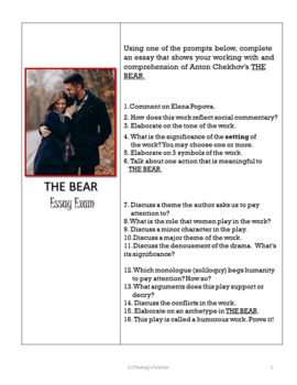 the bear essay type questions