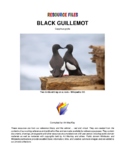 THE BLACK GUILLEMOT'S WORLD - RESOURCE FILES