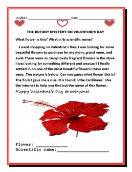 Preview of THE BOTANY MYSTERY ON VALENTINE'S DAY:  GRS. 3-7, ESL, ENG/SPANISH/ SCIENCE
