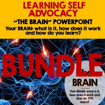 Preview of THE BRAIN BUNDLE:  How it works and how we learn (Learning Self Advocacy)