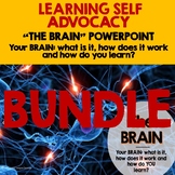 THE BRAIN BUNDLE:  How it works and how we learn (Learning
