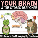 THE BRAIN + STRESS RESPONSE: Social Emotional Learning Stress Management Lesson