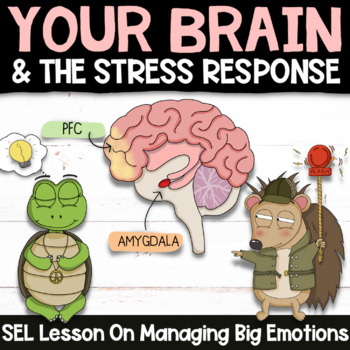 Preview of THE BRAIN + STRESS RESPONSE: Social Emotional Learning Stress Management Lesson