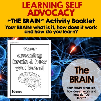 Preview of THE BRAIN WORK BOOKLET: How it works & how we learn (Learning Self Advocacy)