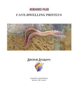 Preview of THE CAVE DWELLING PROTEUS COLLECTION