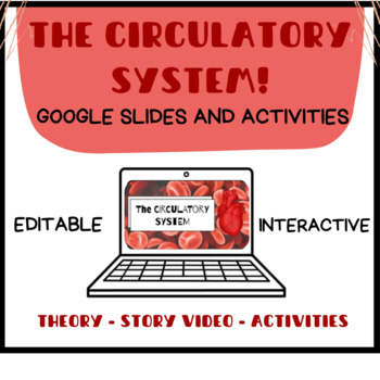 Preview of THE CIRCULATORY SYSTEM: Google Slides and Activities
