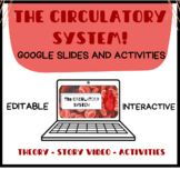 THE CIRCULATORY SYSTEM: Google Slides and Activities