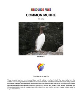 Preview of THE COMMON MURRE RESOURCE FILES