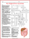 THE HUMAN DIGESTIVE SYSTEM Crossword Puzzle Activity Worksheet