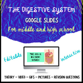 THE DIGESTIVE SYSTEM: Google slides