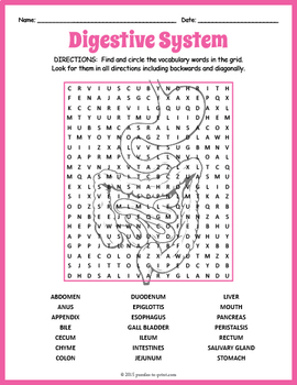 Preview of  (4th 5th 6th 7th Grade) THE DIGESTIVE SYSTEM Word Search Activity Worksheet