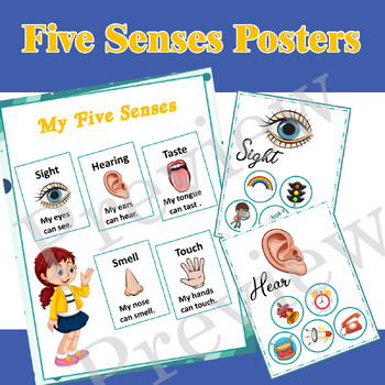 THE FIVE SENSES- POSTERS- by Alaa Atout | TPT