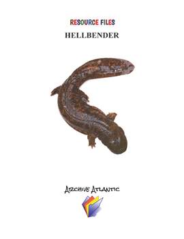 Preview of THE HELLBENDER COLLECTION - DISTANCE LEARNING