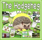 THE HODGEHEG STORY TEACHING RESOURCES EYFS KS1-2 HEDGEHOG 