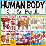 The Human Body Clip Art Bundle | Muscular, Skeletal, Diges