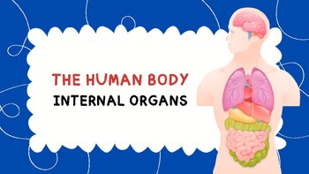 Preview of THE HUMAN BODY : INTERNAL ORGAN