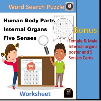 Preview of THE HUMAN BODY- PARTS INTERNAL ORGANS FIVE SENSES  WORD SEARCH