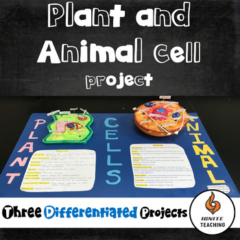 Plant and Animal Cell project by Ignite Teaching | TPT
