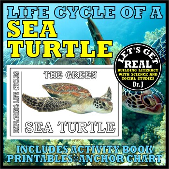 Preview of Life Cycle of the GREEN SEA TURTLE