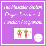 Exercise Science Muscular System & Anatomy Assignment