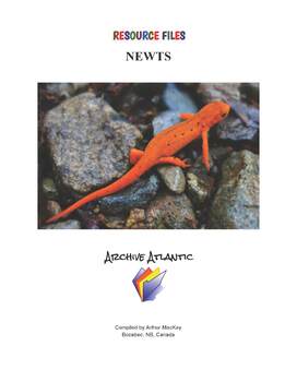 Preview of THE NEWTS COLLECTION - DISTANCE LEARNING
