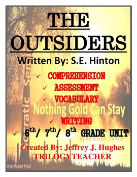 Preview of THE OUTSIDERS Comprehension/Assessment/Vocabulary/Writing Novel Study Unit