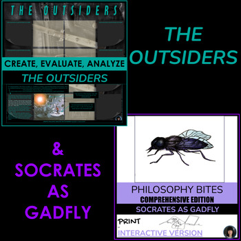 Preview of THE OUTSIDERS | THE OUTSIDERS ESSAY ALTERNATIVE | THE OUTSIDERS ACTIVITIES