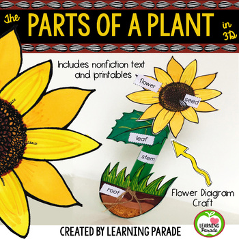 parts of a flower craft for kids