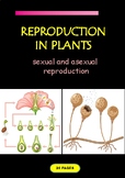 THE PROCESS OF SEXUAL  and ASEXUAL REPRODUCTION IN PLANTS