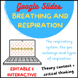 THE RESPIRATORY SYSTEM: Breathing vs. Respiration - Google
