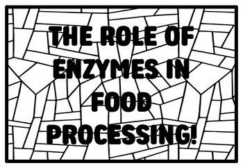 Preview of THE ROLE OF ENZYMES IN FOOD PROCESSING! High School Food Science Coloring Pag