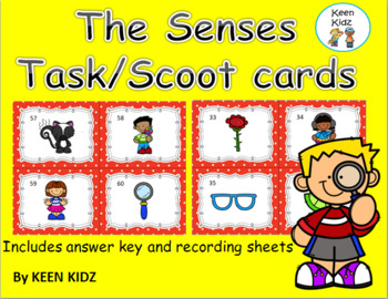 Preview of THE SENSES TASK CARDS/SCOOT