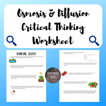 Preview of Osmosis & Diffusion Critical Thinking Worksheet