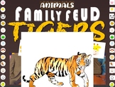 TIGERS - ANIMAL FAMILY FEUD! fun, interactive critical thi